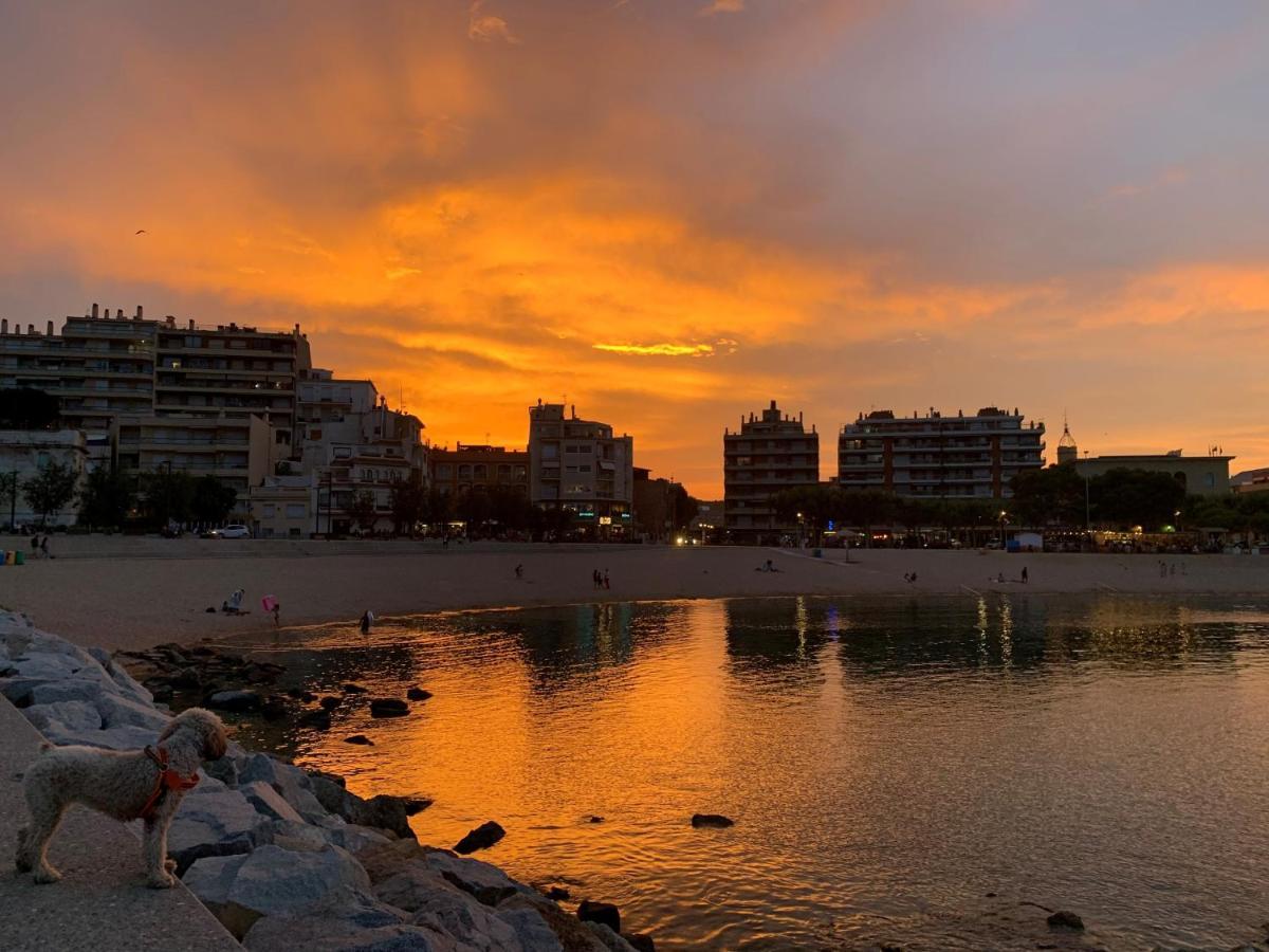 Notaria-Apartamento Y Estudio En Casco Antiguo, Al Lado De Playa, Rambla Y Monasterio, Con Acceso A Terraza Ajardinada Sant Feliu de Guíxols Exterior foto